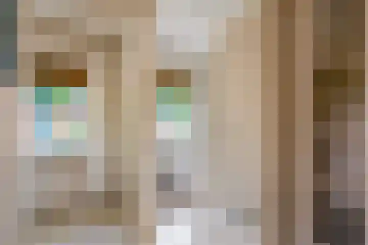 Slotstraat 13 Beek en Donk thumbnail 25