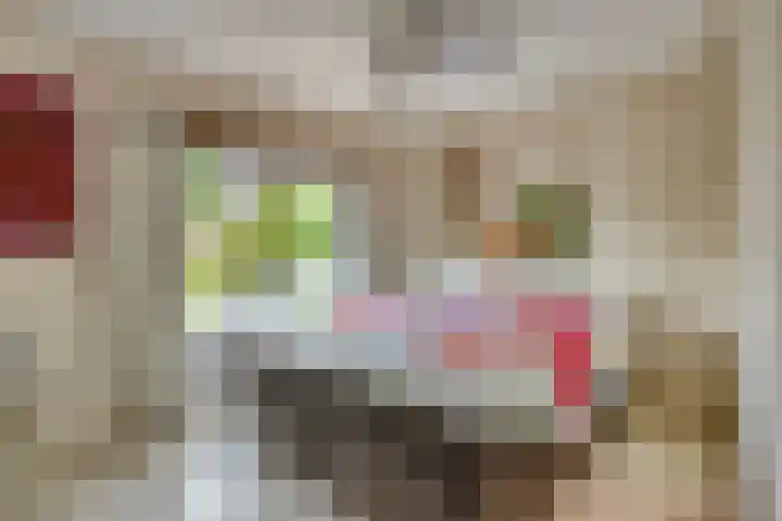 Slotstraat 13 Beek en Donk thumbnail 26
