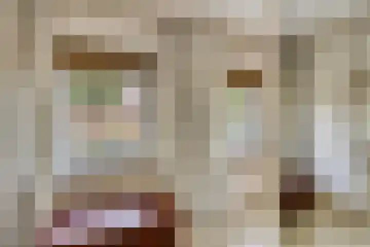 Slotstraat 13 Beek en Donk thumbnail 29