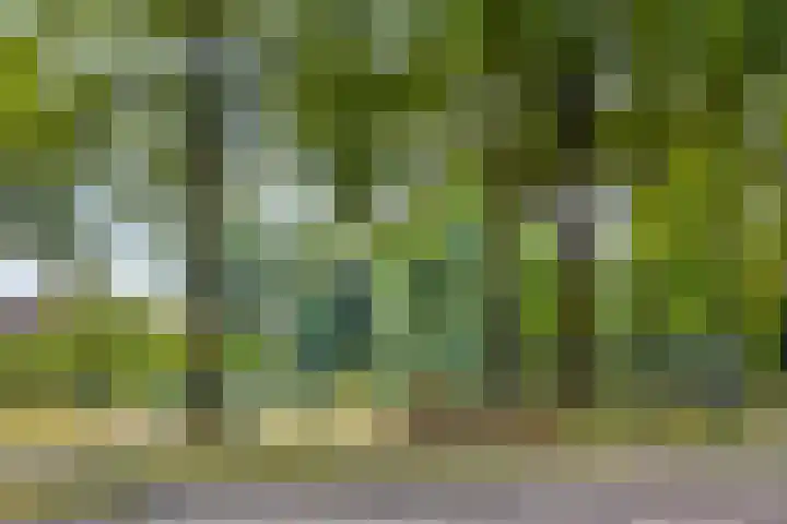 Slotstraat 13 Beek en Donk thumbnail 38