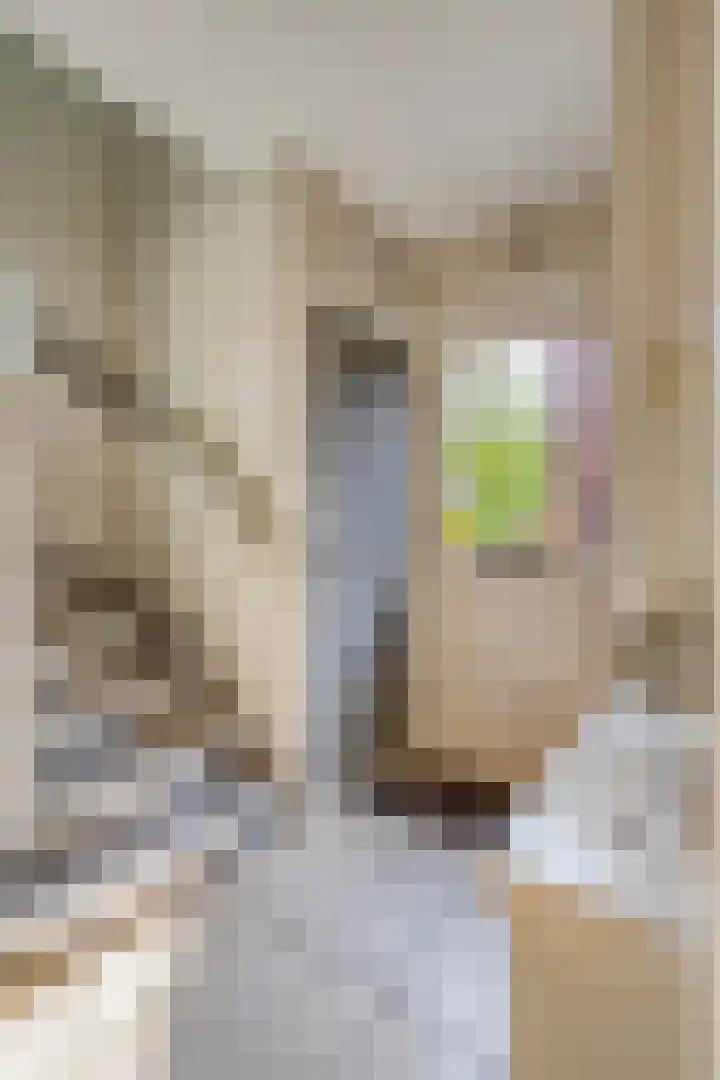 Slotstraat 13 Beek en Donk thumbnail 5