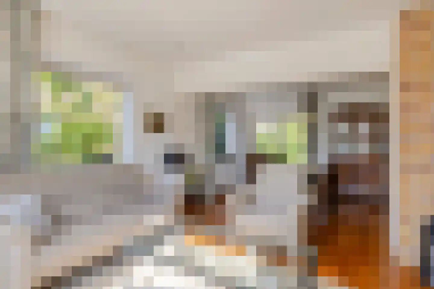 Slotstraat 18 's-Heer Arendskerke thumbnail 10