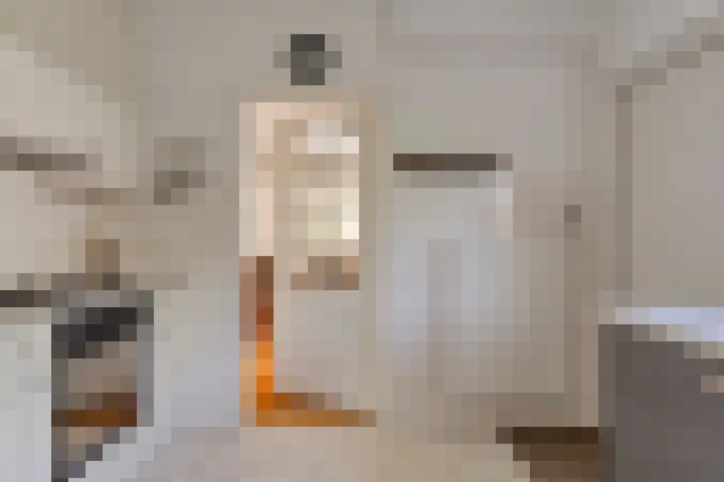 Slotstraat 18 's-Heer Arendskerke thumbnail 15