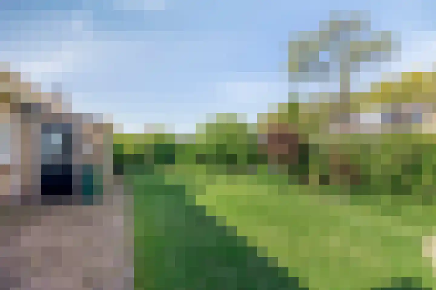 Slotstraat 18 's-Heer Arendskerke thumbnail 26