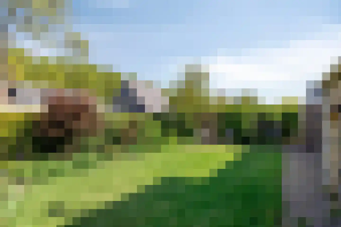 Slotstraat 18 's-Heer Arendskerke thumbnail 4