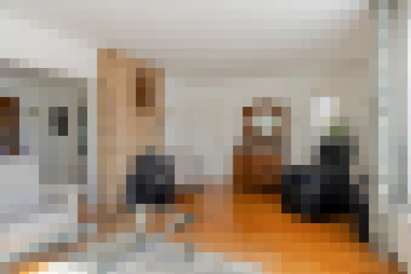 Slotstraat 18 's-Heer Arendskerke thumbnail 8