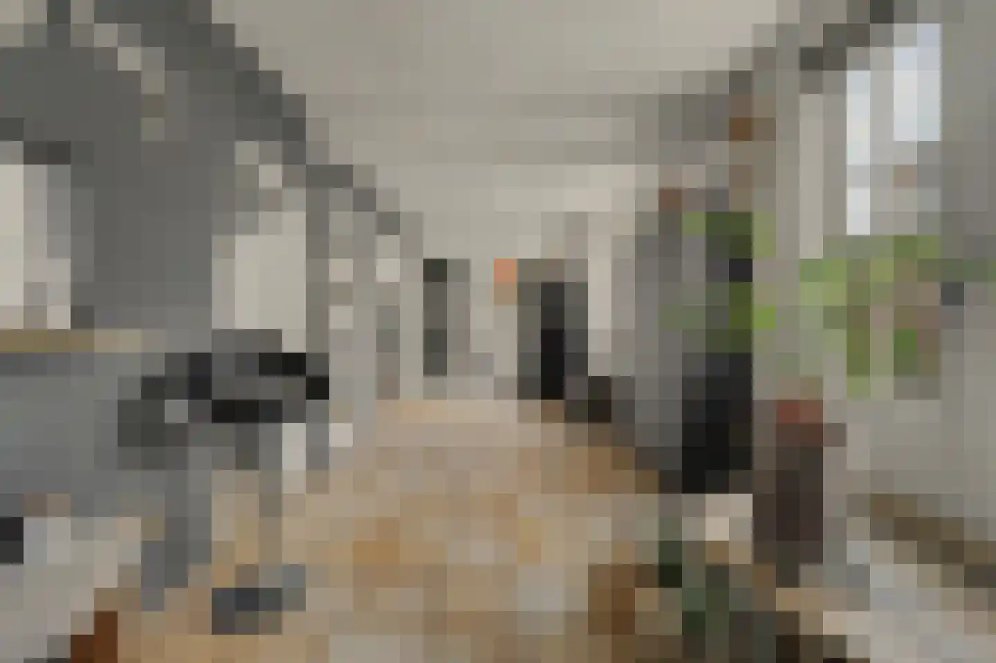 Slotstraat 2 Kruiningen thumbnail 21