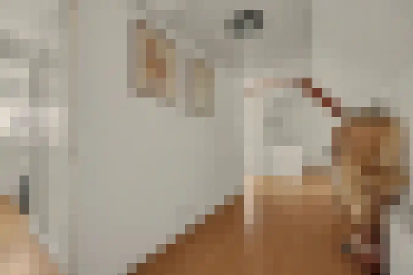 Slotstraat 2 Kruiningen thumbnail 28