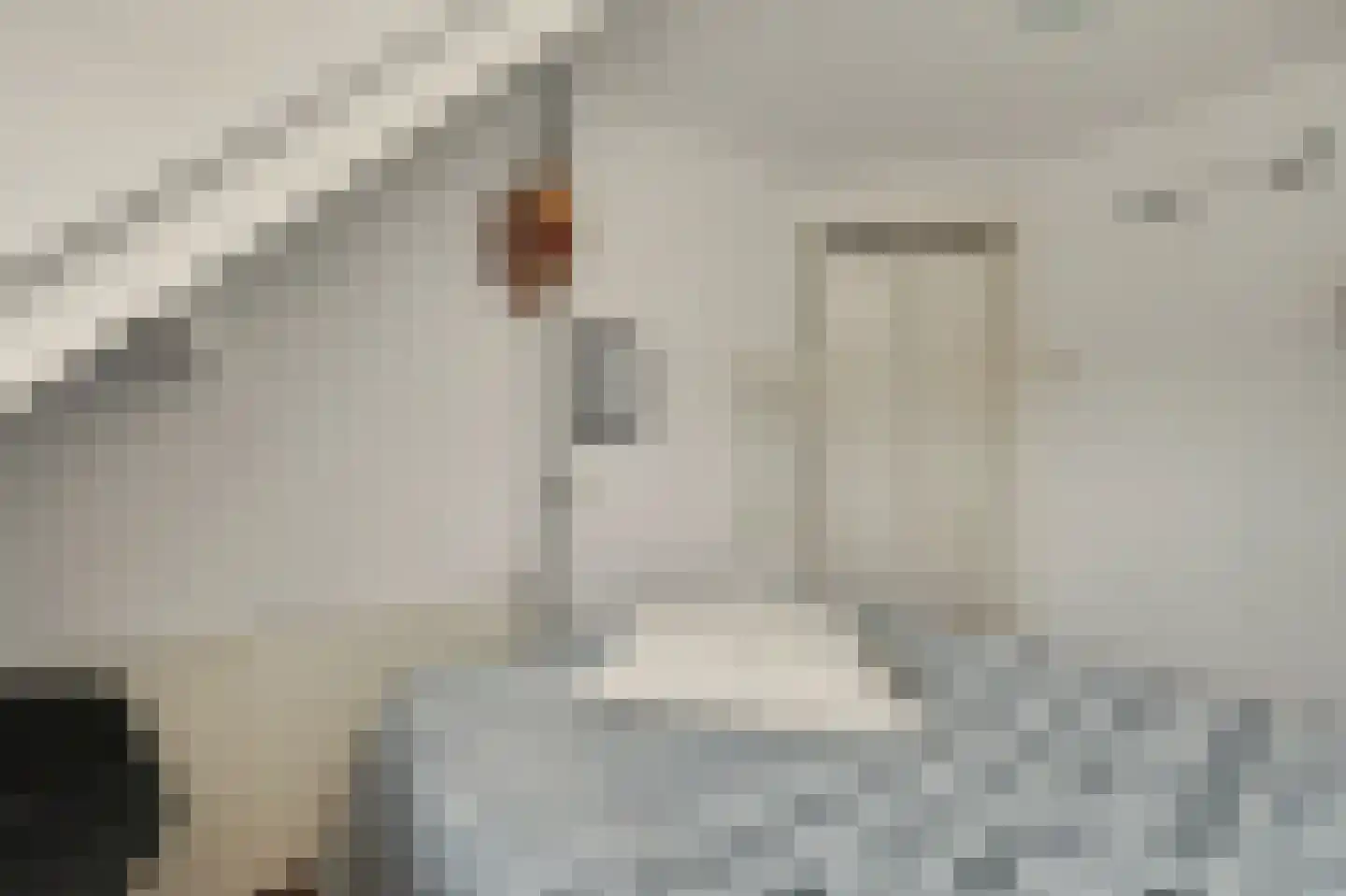 Slotstraat 2 Kruiningen thumbnail 33
