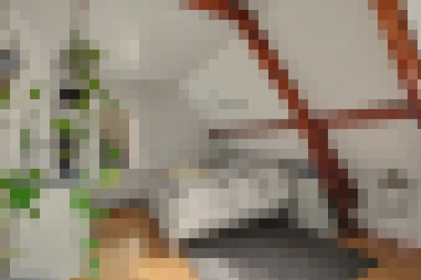Slotstraat 2 Kruiningen thumbnail 34