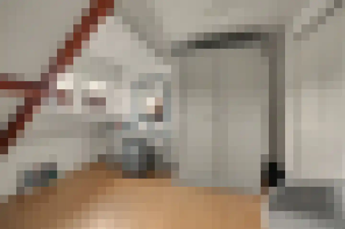 Slotstraat 2 Kruiningen thumbnail 35