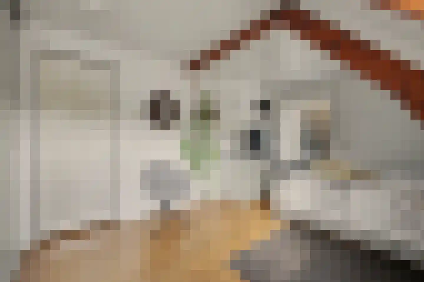 Slotstraat 2 Kruiningen thumbnail 36