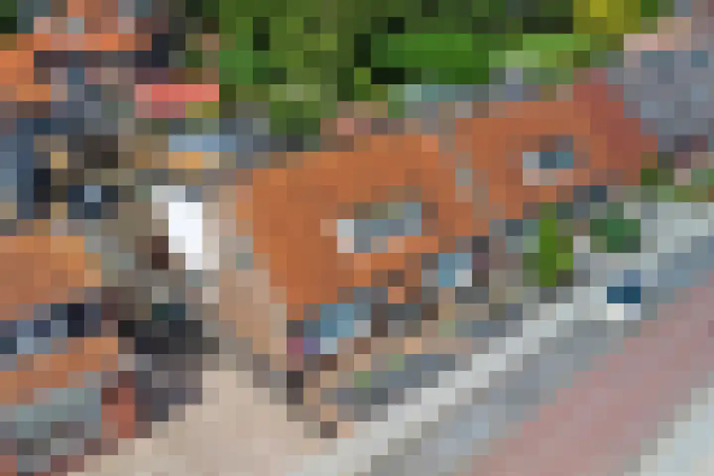 Slotstraat 2 Kruiningen thumbnail 51