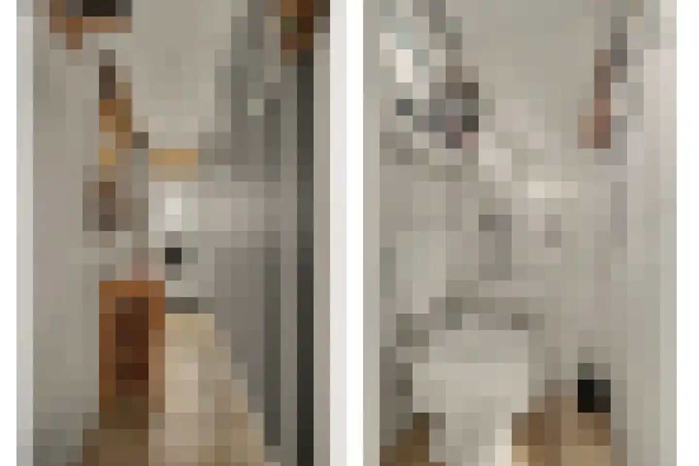 Slotstraat 2 Kruiningen thumbnail 7