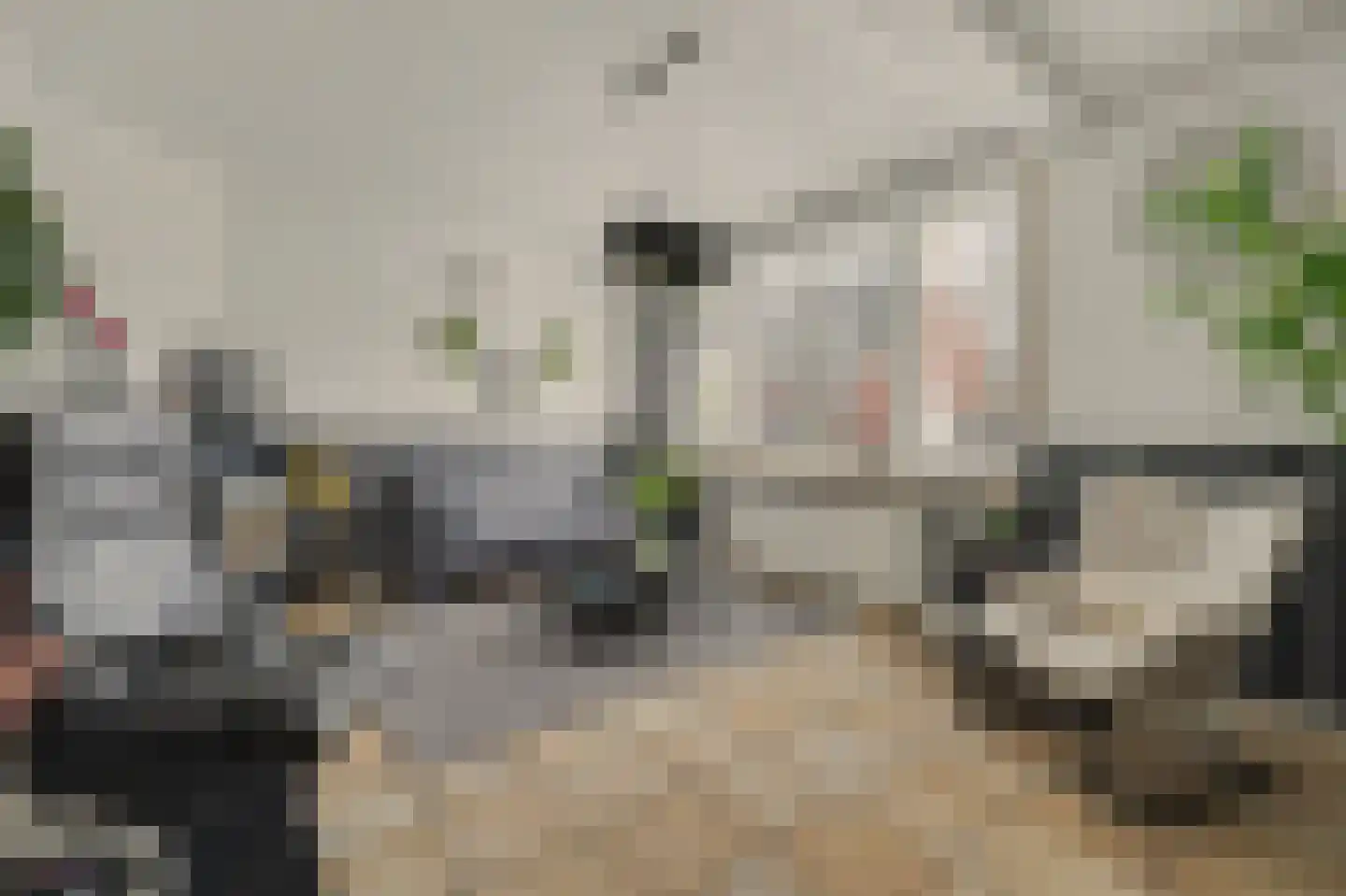 Slotstraat 2 Kruiningen thumbnail 8