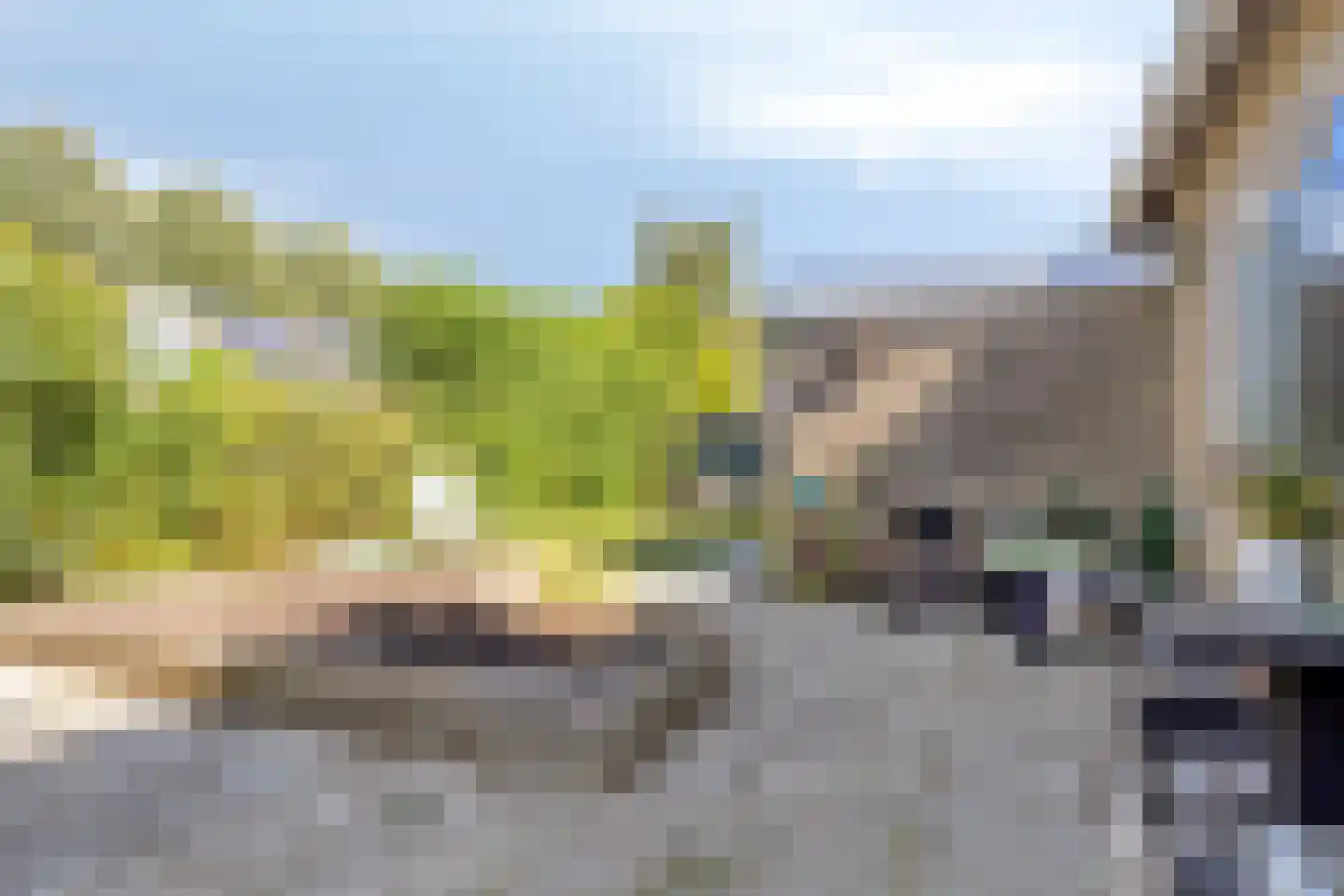 Slotstraat 20 's-Heer Arendskerke thumbnail 10