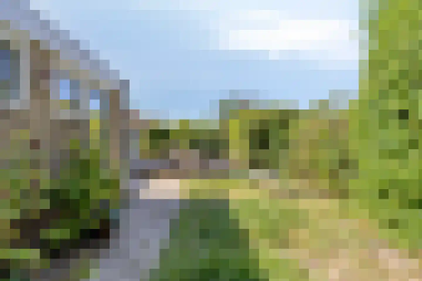 Slotstraat 20 's-Heer Arendskerke thumbnail 13