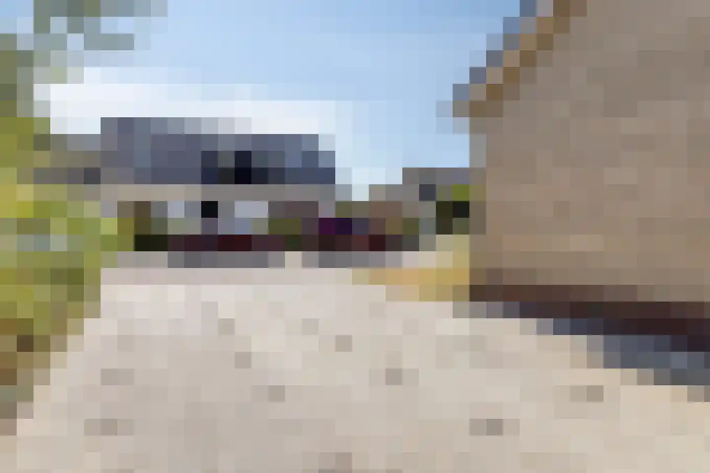 Slotstraat 20 's-Heer Arendskerke thumbnail 15