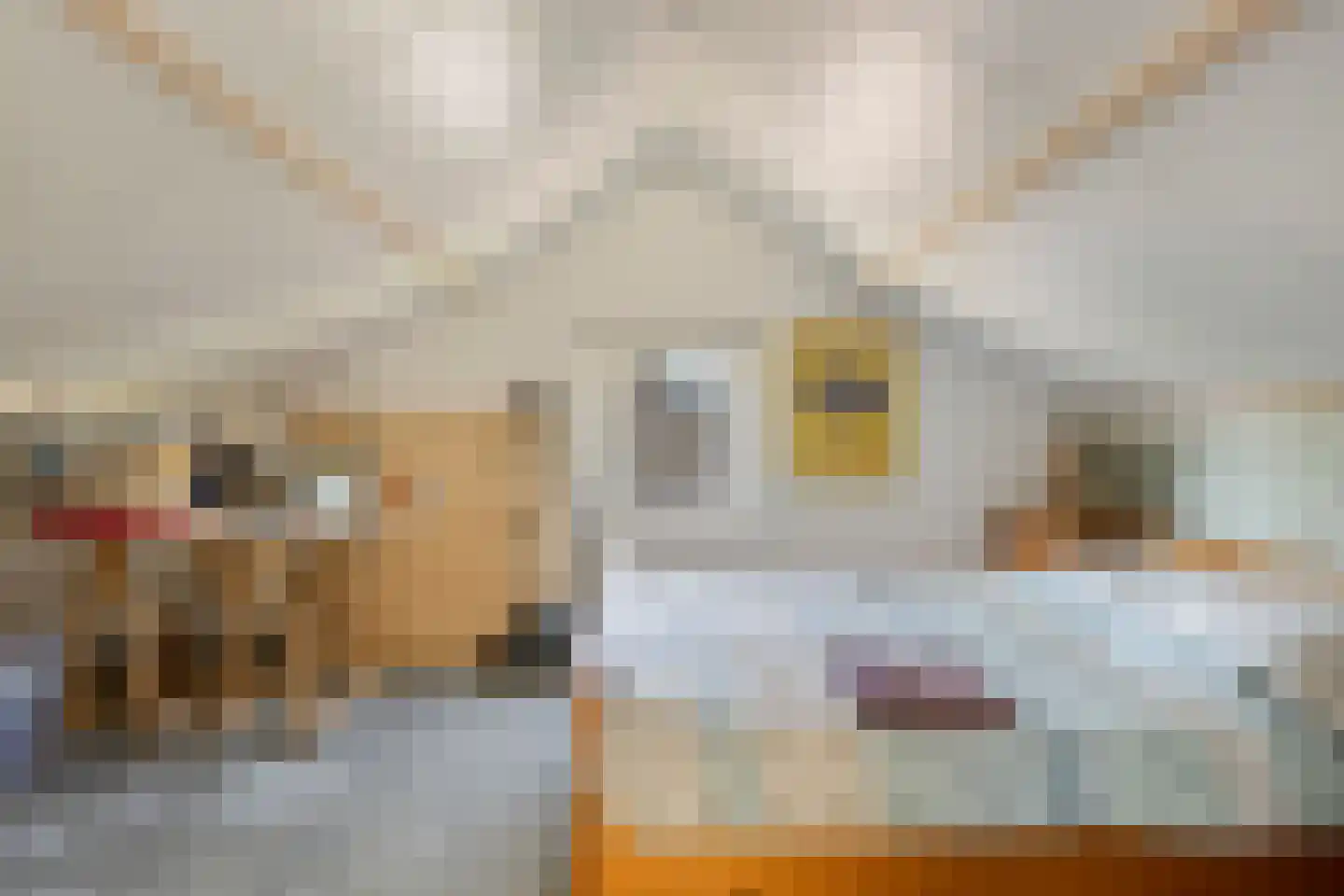 Slotstraat 20 's-Heer Arendskerke thumbnail 43