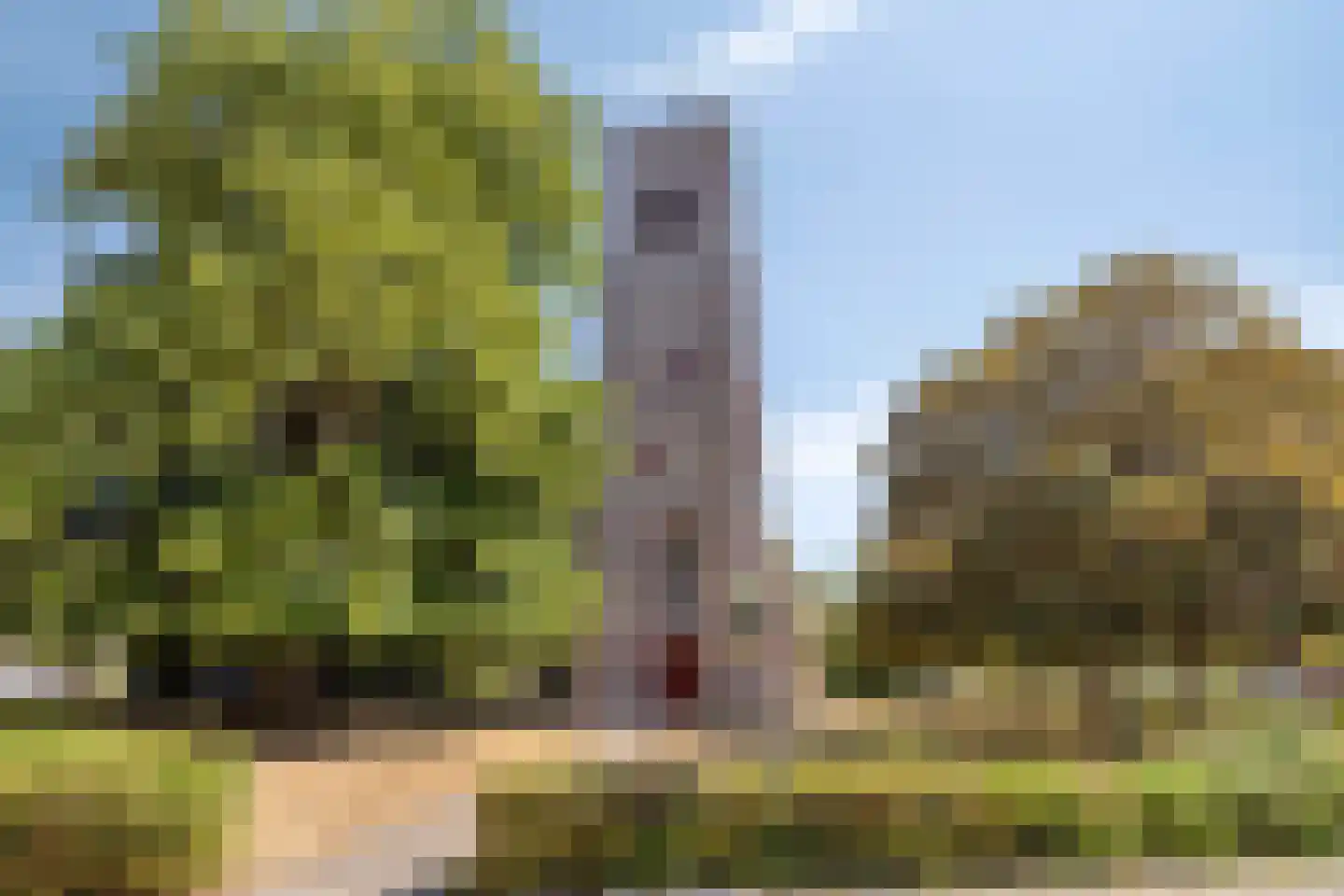 Slotstraat 20 's-Heer Arendskerke thumbnail 53