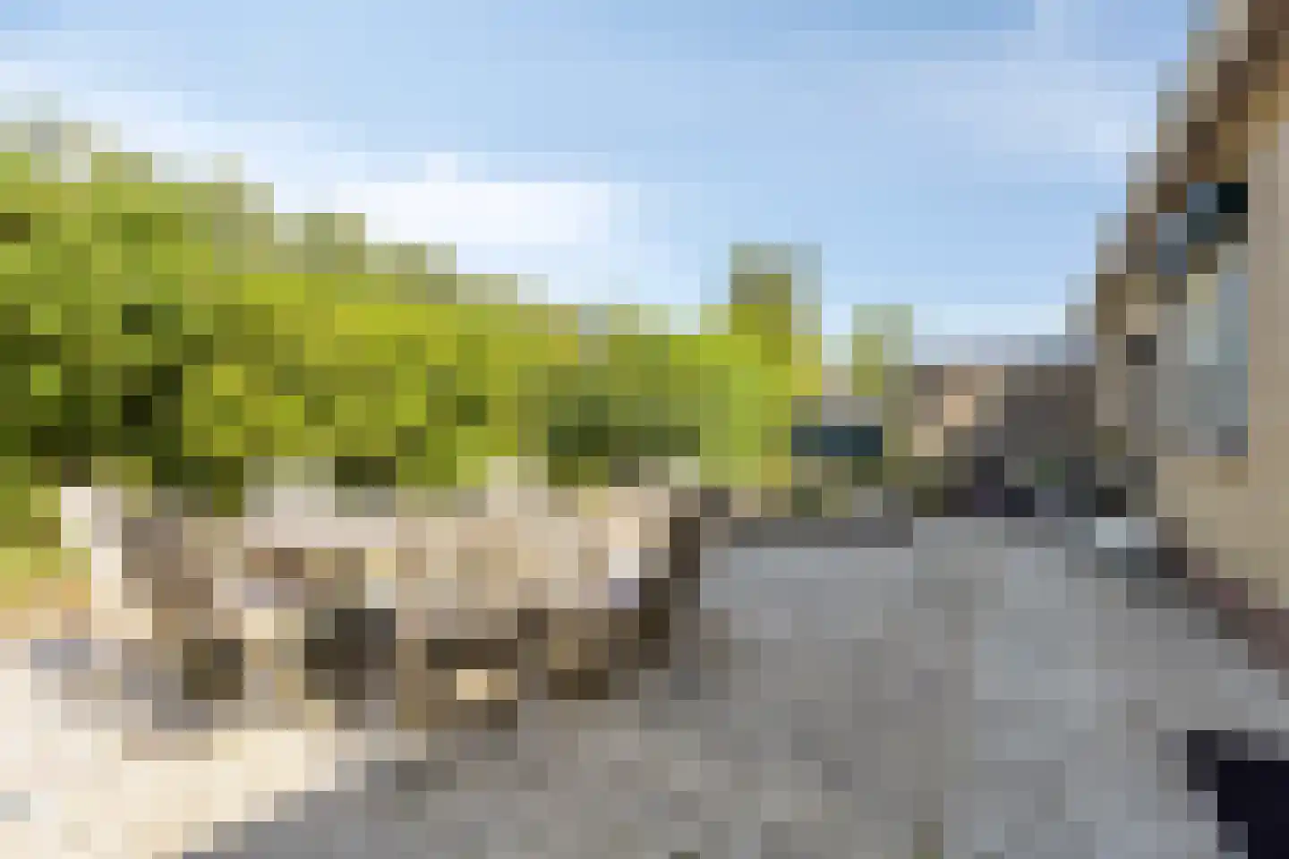Slotstraat 20 's-Heer Arendskerke thumbnail 9