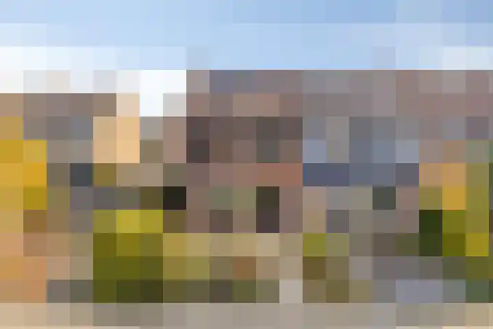 Slotstraat 22 Kapelle thumbnail 10