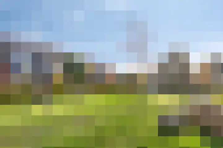 Slotstraat 22 Kapelle thumbnail 4
