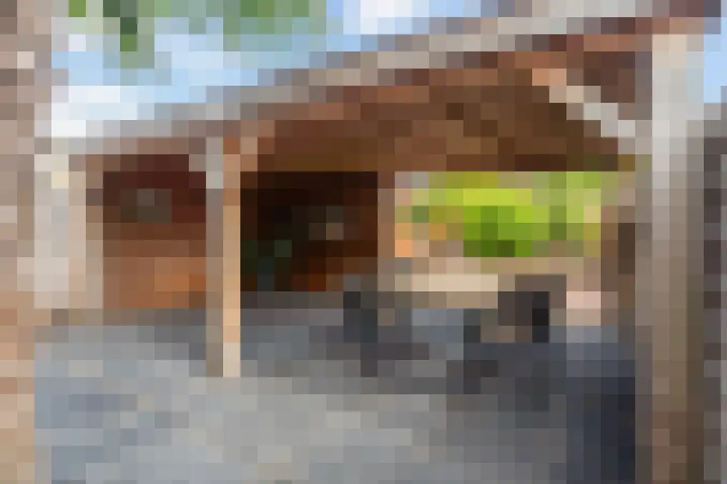 Slotstraat 28 Beesd thumbnail 20