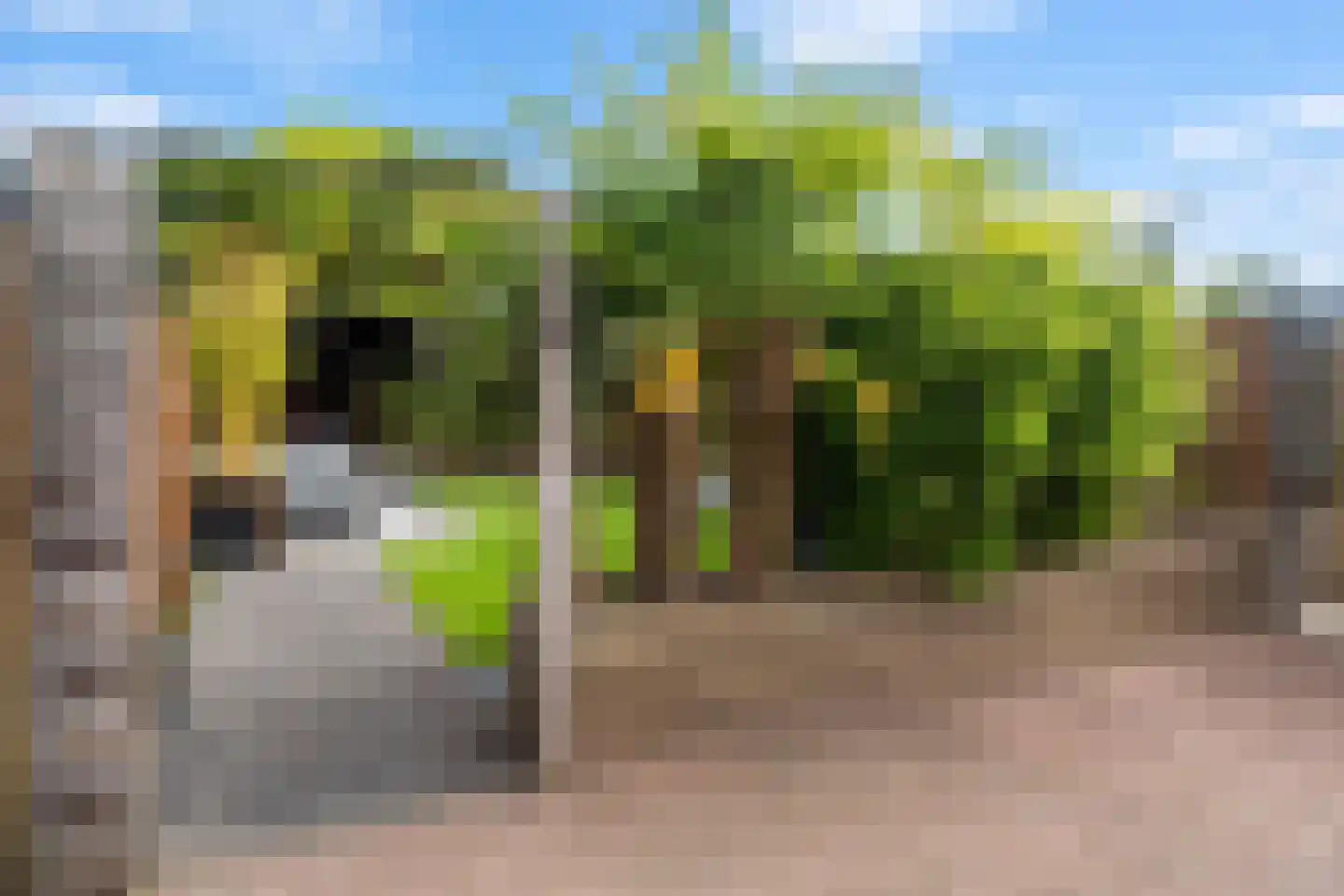 Slotstraat 28 Beesd thumbnail 27