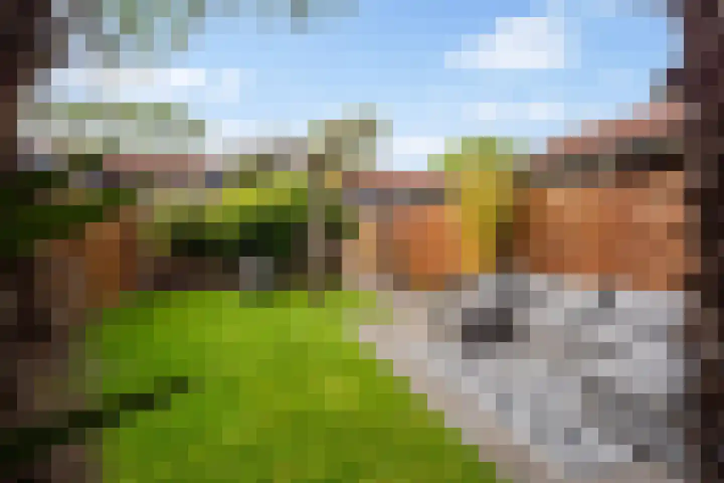 Slotstraat 28 Beesd thumbnail 28