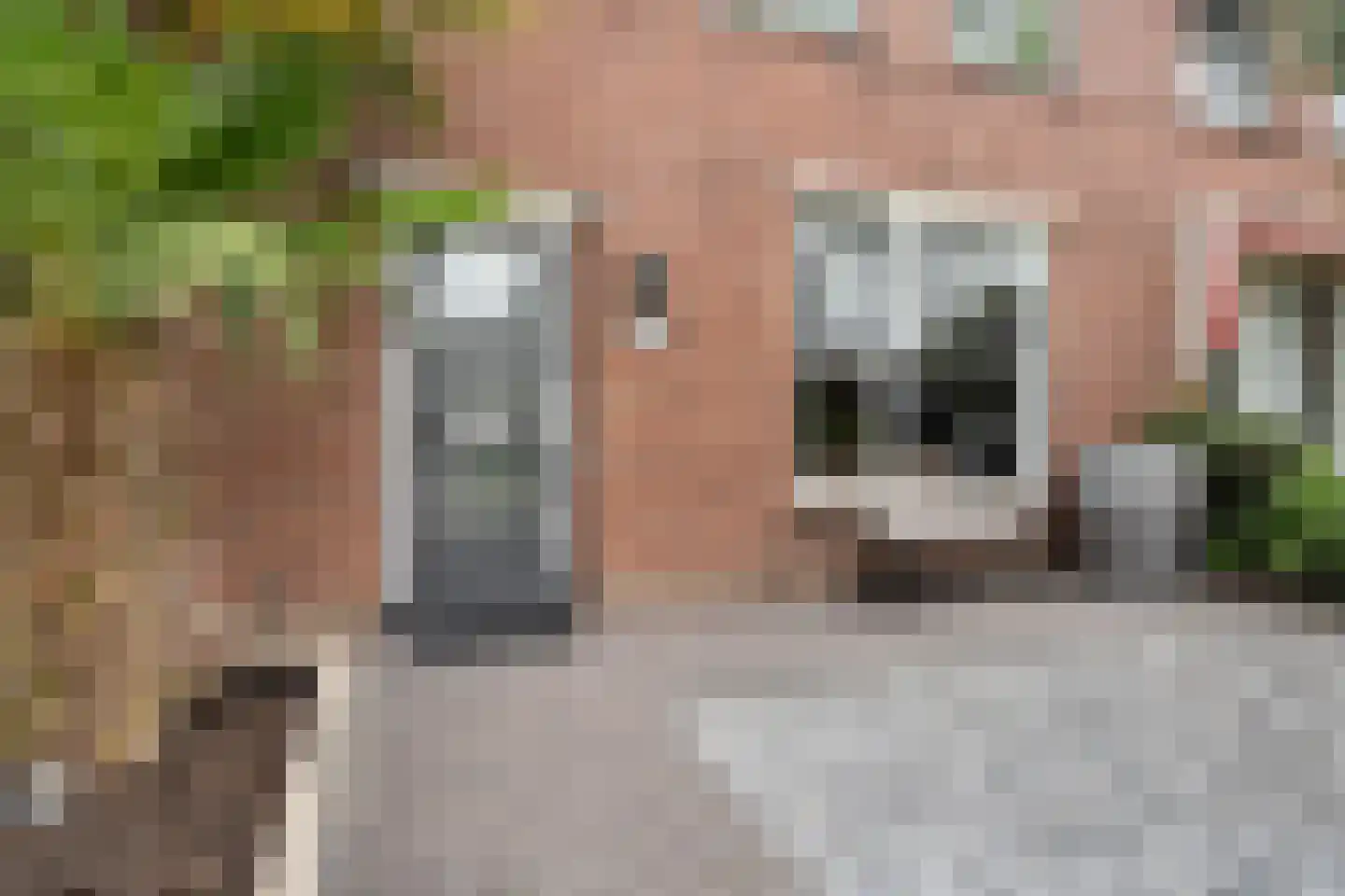 Slotstraat 28 Beesd thumbnail 4