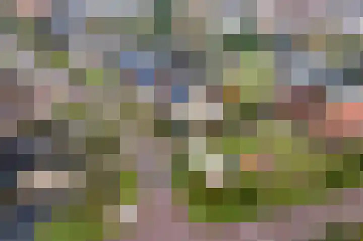 Slotstraat 38 Beesd thumbnail 32