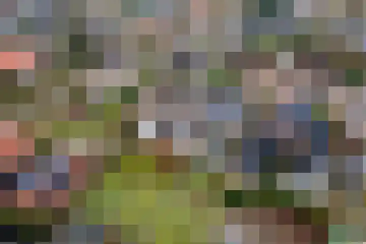 Slotstraat 38 Beesd thumbnail 33
