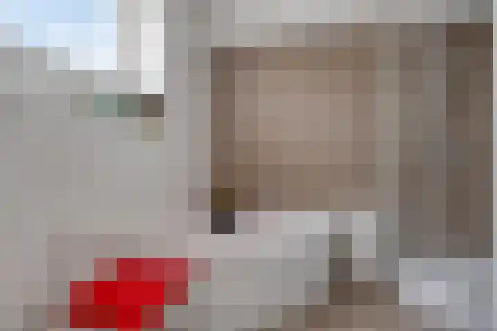 Slotstraat 44 Baarland thumbnail 17