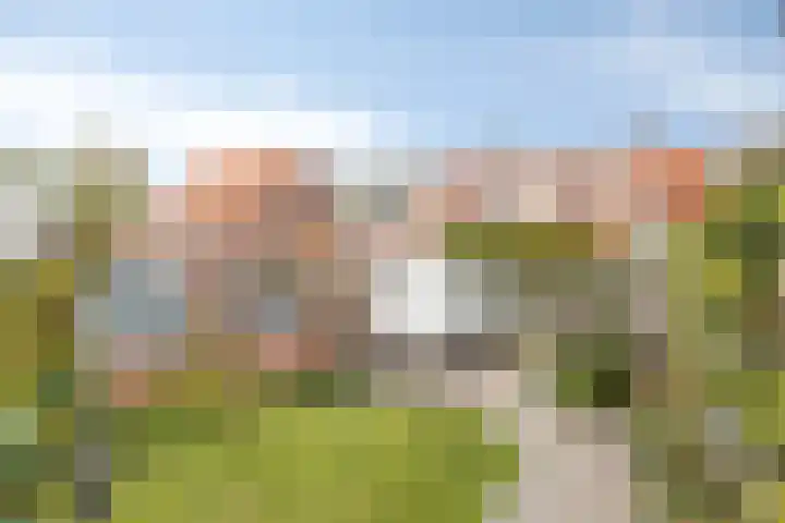 Slotstraat 44 Baarland thumbnail 23