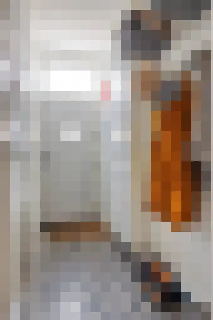 Slotstraat 44 Baarland thumbnail 5