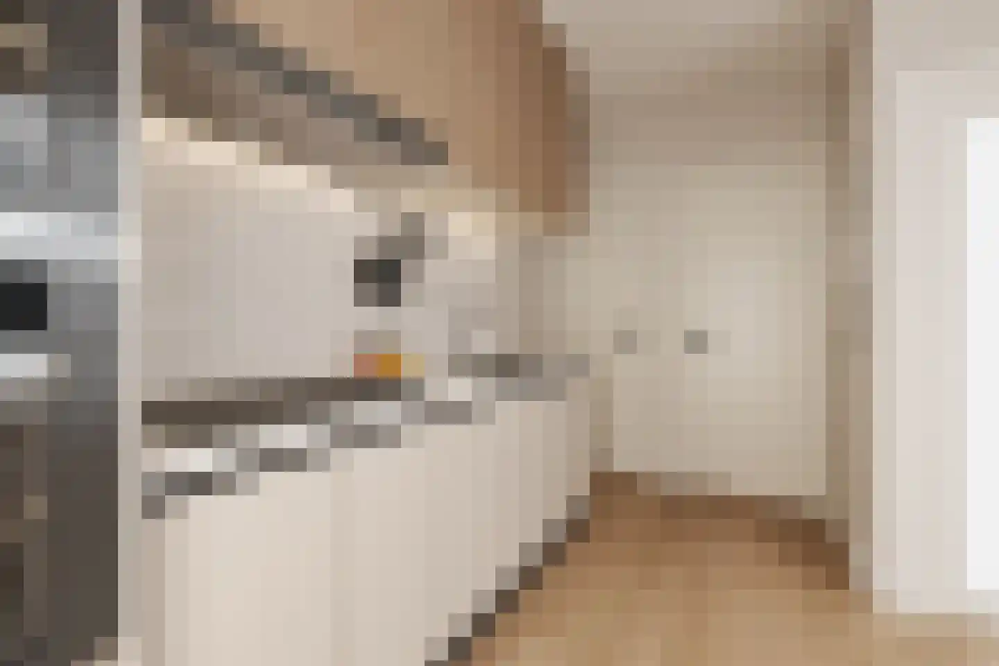 Slotstraat 50 Kruiningen thumbnail 7