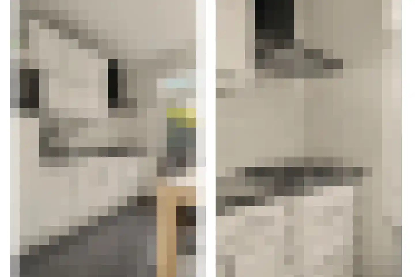 Slotstraat 59 Kruiningen thumbnail 13