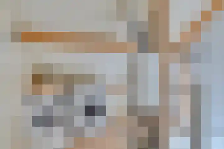Slotstraat 6 Tilburg thumbnail 22