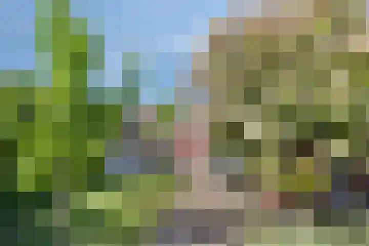 Slotstraat 6 Tilburg thumbnail 29