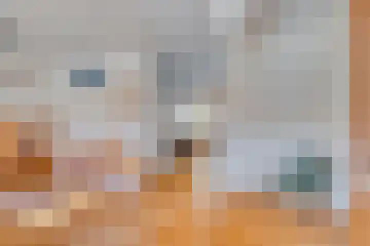 Slotstraat 6 Tilburg thumbnail 7