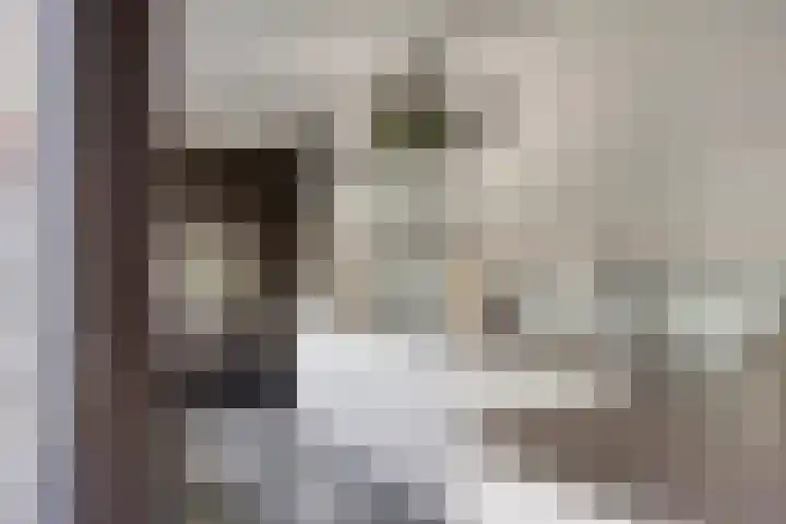 Slotstraat 63 Kruiningen thumbnail 8