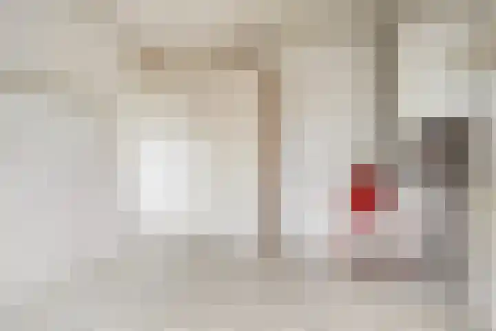 Slotstraat 63 's-Heer Arendskerke thumbnail 16