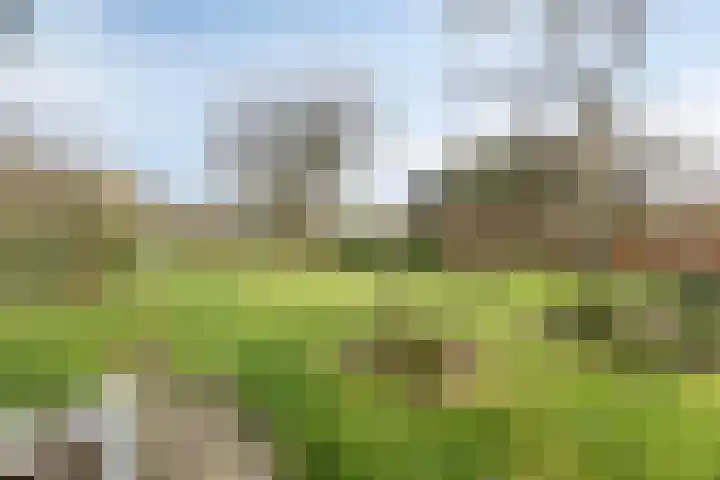 Slotstraat 63 's-Heer Arendskerke thumbnail 34