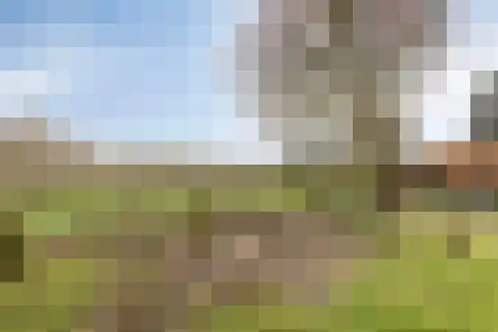 Slotstraat 63 's-Heer Arendskerke thumbnail 37