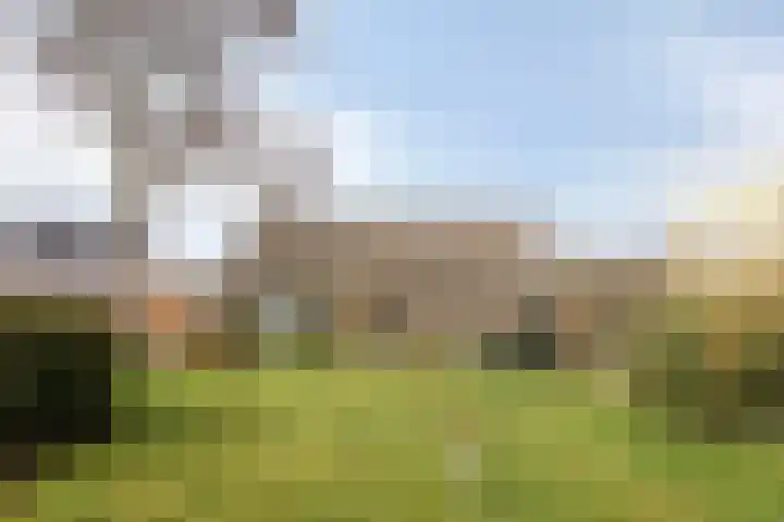 Slotstraat 63 's-Heer Arendskerke thumbnail 38