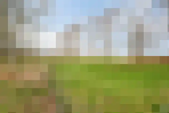 Slotstraat 63 's-Heer Arendskerke thumbnail 40