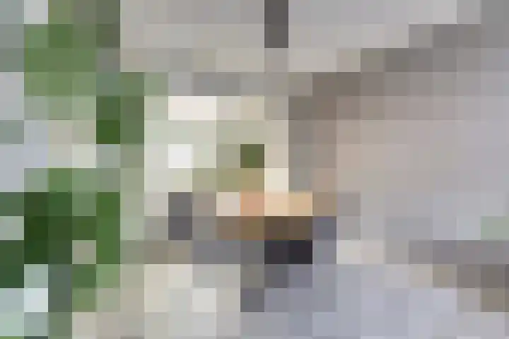 Slotstraat 69 Kruiningen thumbnail 12