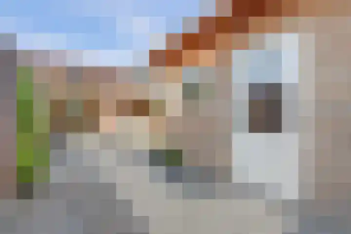 Slotstraat 69 Kruiningen thumbnail 27