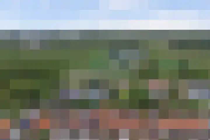 Slotstraat 69 Kruiningen thumbnail 31